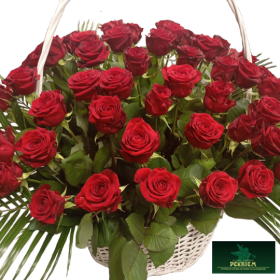 Korzina-red-1